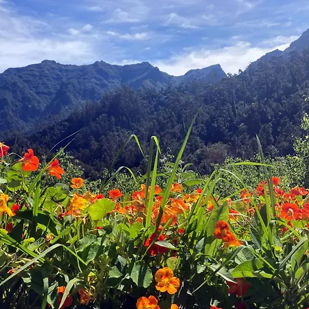 Holiday home Eutopia Escape Senhora do Rosario (Madeira)